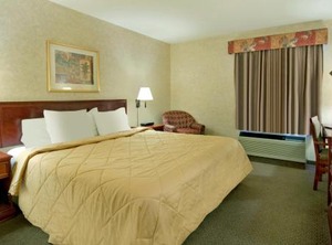 Comfort Inn Suites University | Banff Trail