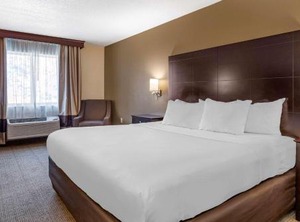 Comfort Inn Suites Paw | Paw Paw