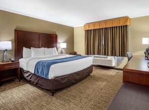Silicon Valley Inn | Morse Park