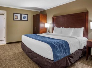 Silicon Valley Inn | Morse Park