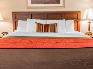 Comfort Inn Utica | Utica