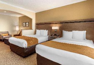 Comfort Inn Suites Southwest Freeway At Westpark | Baytown