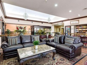 Comfort Suites Jackson Clute | Lake Jackson