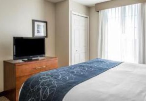 Comfort Potomac Mills | Dale City