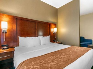 Comfort Suites City | Forrest City