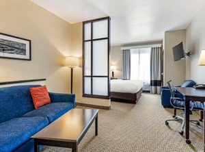 Comfort Suites Palestine | Palestine