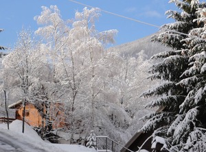 Les Bouleaux Allos | Allos