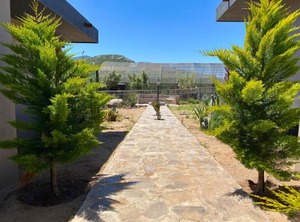 Coquenas Del Valle | San Antonio de las Minas