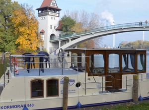 Cormorant Zeuthen | Zeuthen