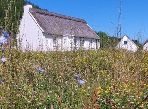 Corofin Cottages | Killinaboy