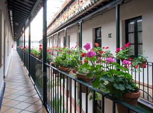 Corral De Los Chícharos | Alameda