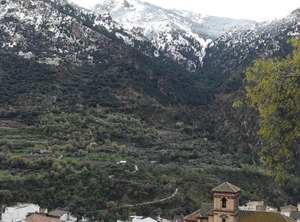 Cortijo La Solana | Guejar Sierra