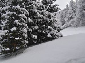 Hauts Du Rogoney | Val-d'Isere