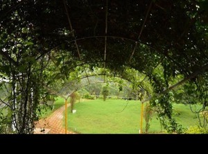 Cottage Swimming Lonavala | Kadadhe