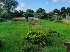 Cottage | Corsham