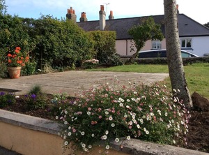 Cottage | Babbacombe