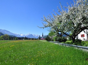Cozy Fischen Oberstdorf | Fischen im Allgaeu