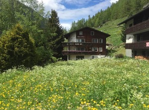 Cresta Saas | Saas Grund