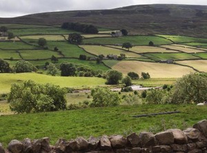 Crow Hall Holiday Accommodation | Reeth