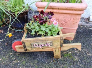 Cupid Cottage | Bridlington