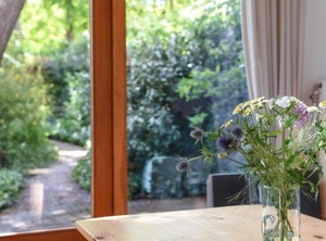 Kleine Bonte Specht | Schoorl