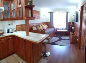 Departamento Parque Suizo | Pucon