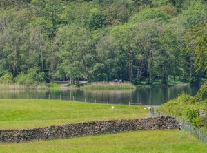 Derwentwater | Near Sawrey