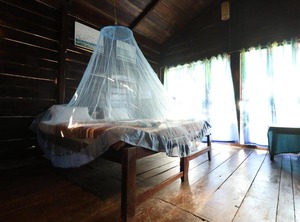 Dolphin Beach Resort | Mandrem