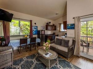 Dolphin Cottage Ac Kehena Beach Hawaii | Kehena Beach Estates