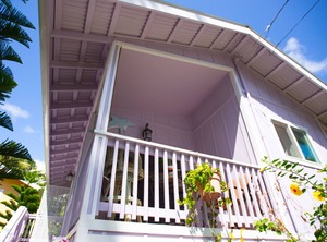 Dolphin Cottage Ac Kehena Beach Hawaii | Kehena Beach Estates