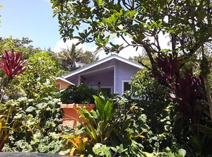 Dolphin Cottage Ac Kehena Beach Hawaii | Kehena Beach Estates