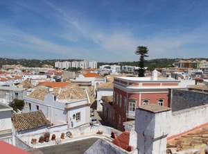 Dom Fernando | Sao Clemente