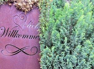 Doppelzimmer Standard Dusche Und Wc | Gemarkung Schomberg
