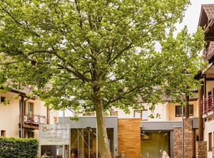 Vrbo Property | Dannenfels