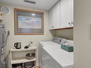 Dr Easy Beach | Shell Island