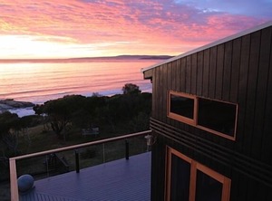 Driftwood Bay Of Fires | The Gardens
