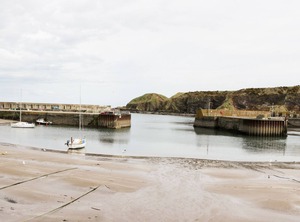 Dunnottar Woods | Stonehaven