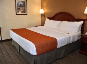 Dynasty Redlands | Redlands