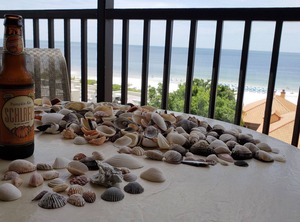 Marco Beach Ocean Resort | Marco Island