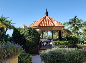 Marco Beach Ocean Resort | Marco Island