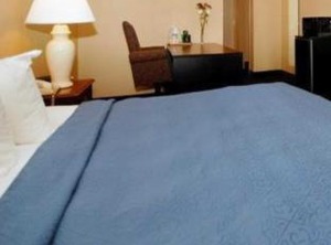 Econo Lodge Inn | Waterloo