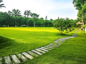 Ecopark | Van Giang