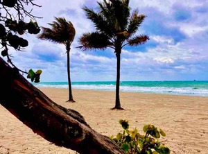 Wyndham Sea Gardens Pompano Beach | Hendricks and Venice Isles