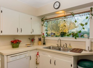 Enchanted Cottage Glen | West Elmira