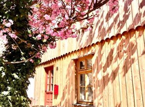 Ökologische Ferienwohnung City | Wernigerode