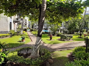 Experience Mexico Value Pv | Fluvial Vallarta