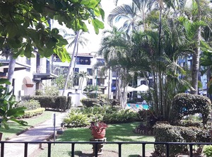 Experience Mexico Value Pv | Fluvial Vallarta