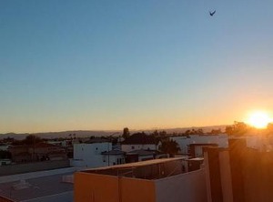 Extended Tijuana Macroplaza | La Joya