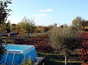 Swimming Orihi Central Istria Sredisnja Istra | Orihi