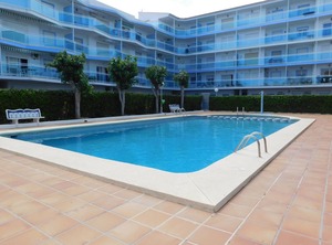 La Cenia | El Palmar